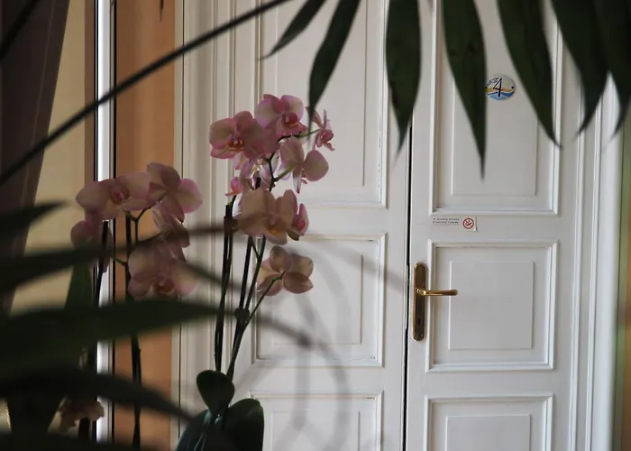 Albatros 2* ארנצאנו